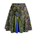 Peacock High Waist Skirt