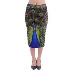 Midi Pencil Skirt 
