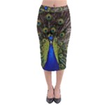 Peacock Midi Pencil Skirt