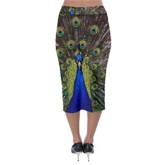 Midi Pencil Skirt 