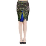 Peacock Midi Wrap Pencil Skirt