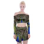 Peacock Off Shoulder Top with Skirt Set