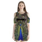 Peacock Shoulder Cutout Velvet  One Piece