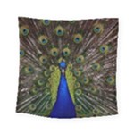 Peacock Square Tapestry (Small)