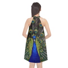 Halter Neckline Chiffon Dress  