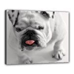 White Bulldog Canvas 20  x 16  (Stretched)