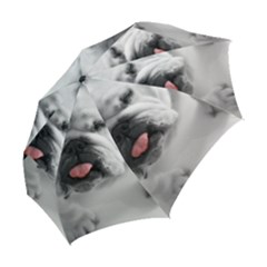 Folding Umbrella 