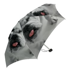 Mini Folding Umbrella 