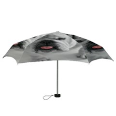 Mini Folding Umbrella 