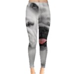 White Bulldog Leggings 