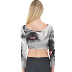 Long Sleeve Crop Top 