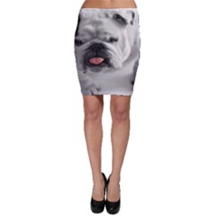 Bodycon Skirt 