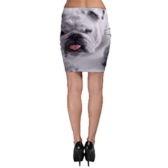 Bodycon Skirt 