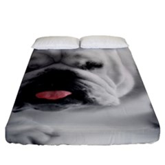 Fitted Sheet (California King Size) 