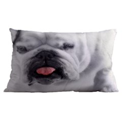 24 x16  Lumbar Throw Cushion Case (Two Sides) 