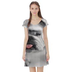 Short Sleeve Skater Dress Front Short Sleeve Skater Dress Front