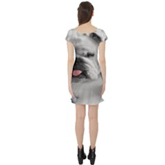 Short Sleeve Skater Dress Back Short Sleeve Skater Dress Back