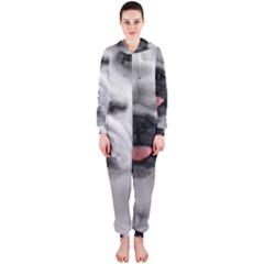 Hooded Jumpsuit (Ladies) 