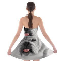 Strapless Bra Top Dress 