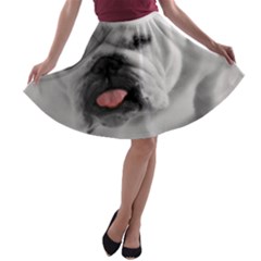 A-line Skater Skirt 