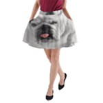 White Bulldog A-Line Pocket Skirt