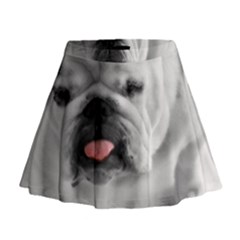 Mini Flare Skirt 