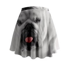 Mini Flare Skirt 
