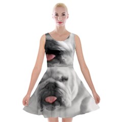 Velvet Skater Dress 