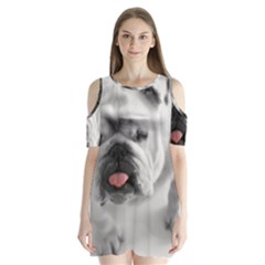White Bulldog Shoulder Cutout Velvet  One Piece from ArtsNow.com