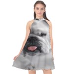 White Bulldog Halter Neckline Chiffon Dress 