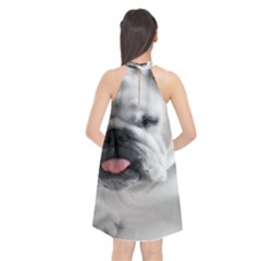 Halter Neckline Chiffon Dress  