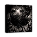 Hawk Mini Canvas 6  x 6  (Stretched)