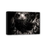 Hawk Mini Canvas 6  x 4  (Stretched)
