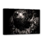 Hawk Canvas 18  x 12  (Stretched)