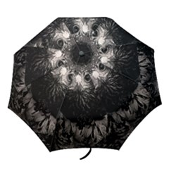 Folding Umbrella 