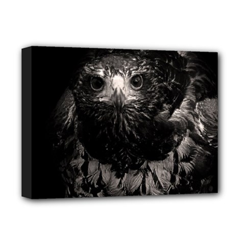Hawk Deluxe Canvas 16  x 12  (Stretched)  from ArtsNow.com