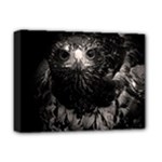 Hawk Deluxe Canvas 16  x 12  (Stretched) 