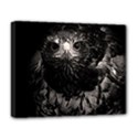 Deluxe Canvas 20  x 16  (Stretched) 