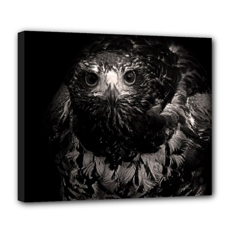 Hawk Deluxe Canvas 24  x 20  (Stretched) from ArtsNow.com