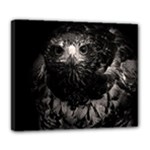 Hawk Deluxe Canvas 24  x 20  (Stretched)