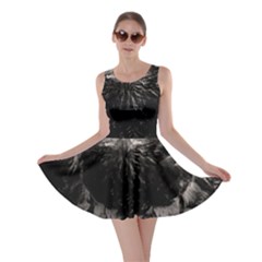 Skater Dress 