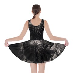 Skater Dress 