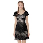 Hawk Short Sleeve Skater Dress