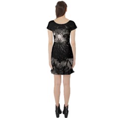 Short Sleeve Skater Dress Back