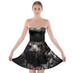 Hawk Strapless Bra Top Dress