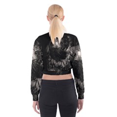 Cropped Sweatshirt 