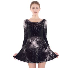 Long Sleeve Velvet Skater Dress 