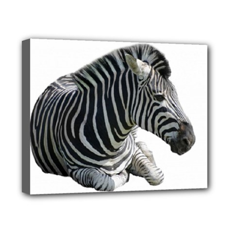 Zebra Canvas 10  x 8  (Stretched) from ArtsNow.com