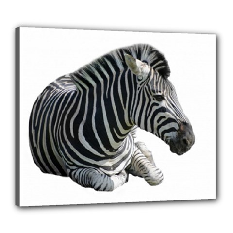 Zebra Canvas 24  x 20  (Stretched) from ArtsNow.com