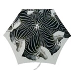 Zebra Mini Folding Umbrella